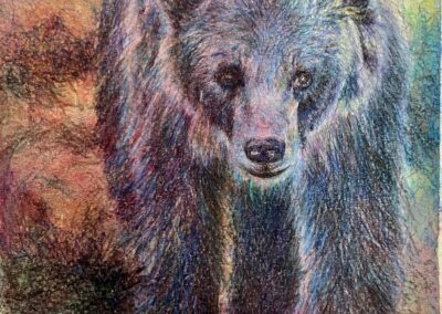 Ours, aquarelle et cire 2025