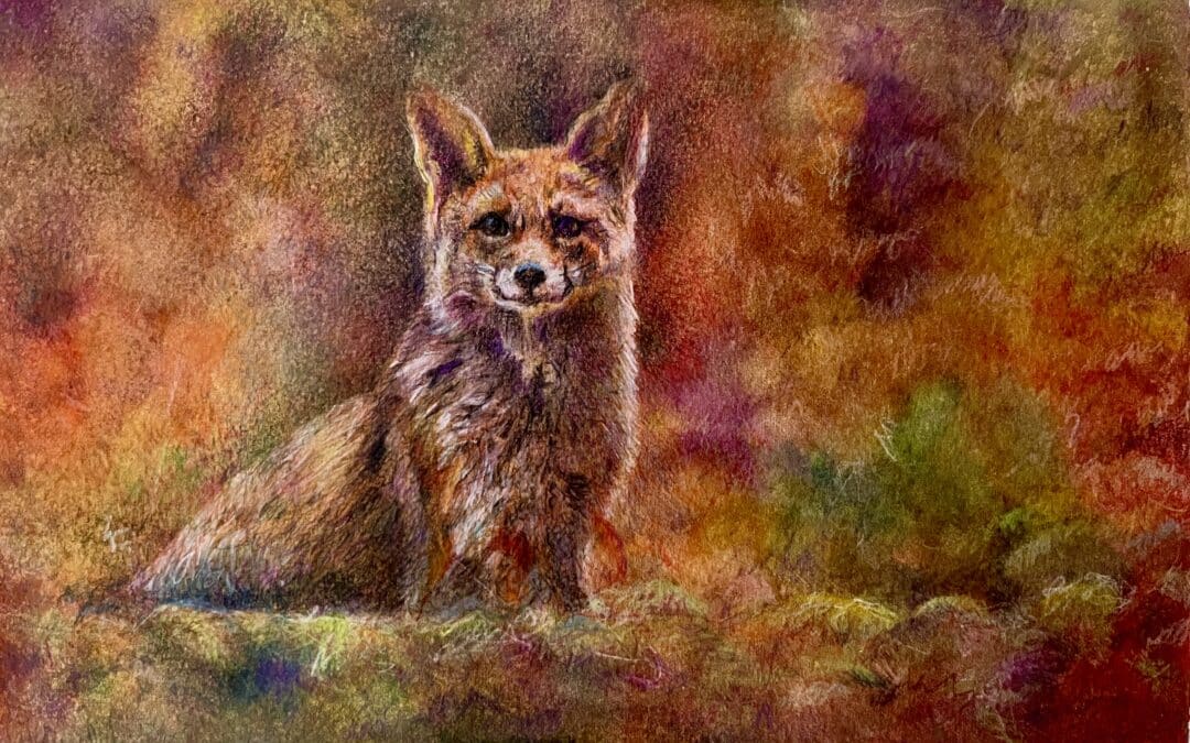 ANIMAUX DE LA FORET