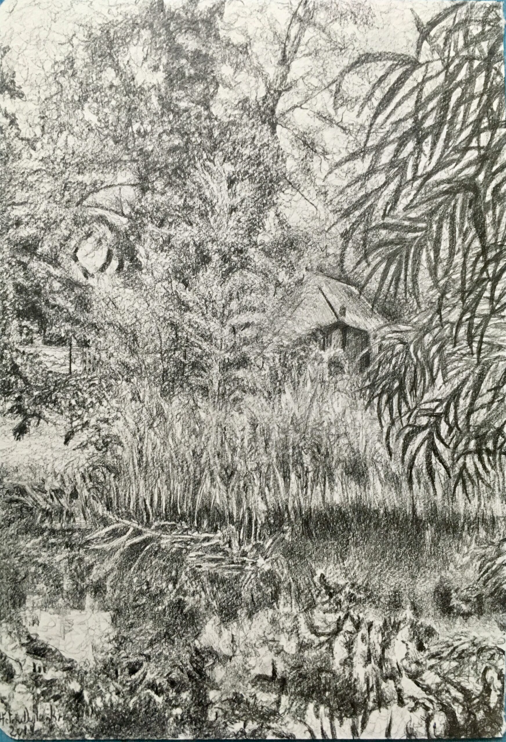 Bois de Vincennes, mine graphite - 2019 Bois de Vincennes, mine graphite - 2019