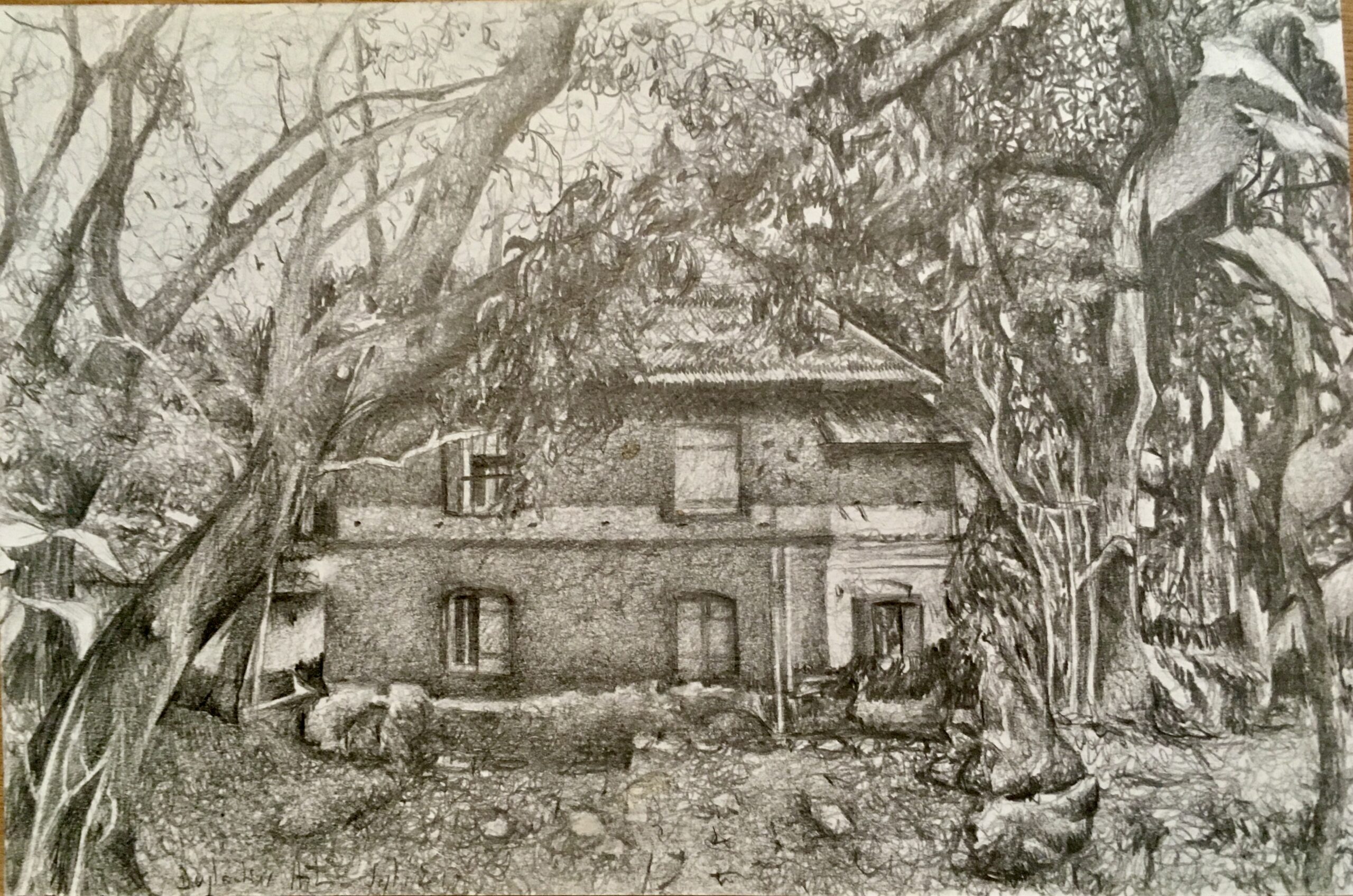 L'arbre et sa maison 7, Inde - 2018 L'arbre et sa maison 7, Inde - 2018